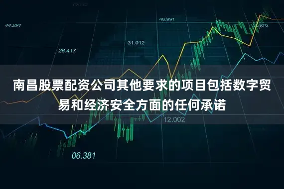 南昌股票配资公司其他要求的项目包括数字贸易和经济安全方面的任何承诺
